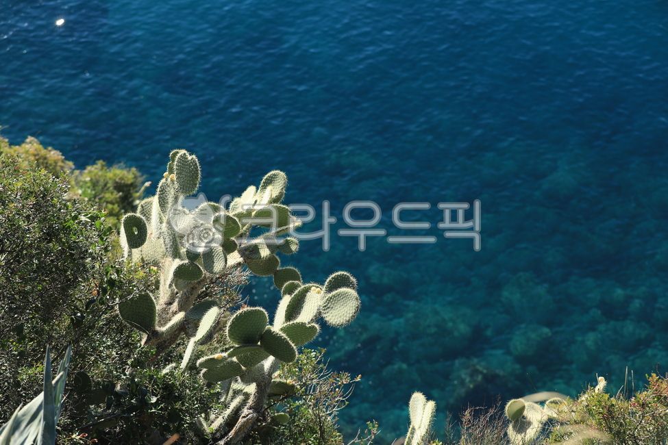 바다,크로아티아,두브로브니크,sea,ocean,croatia,지중해,dubrovnik,자연,nature