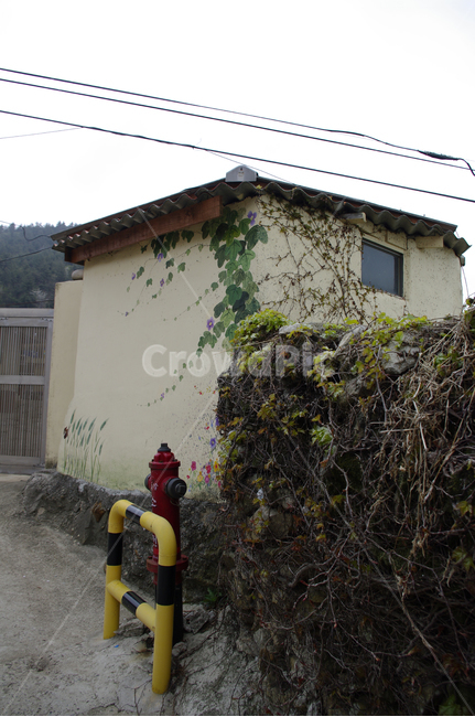 골목길,돌담길,돌담,집,시골,길,벽화,시골,마을,풍경,landscape,country,rural,town,골목길,alley
