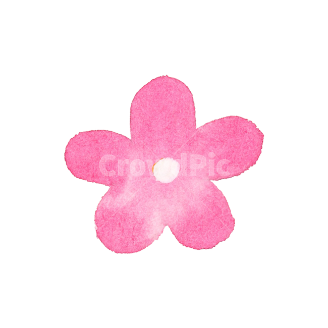 수채화,꽃,손그림,일러스트,봄,flower,귀여운,자연,아이콘,식물,예쁜,spring,summer,꽃잎,plant,blossom,watercolor,pink,분홍,핑크,illustration,nature,icon,petal,꽃,flower,누끼,remove background