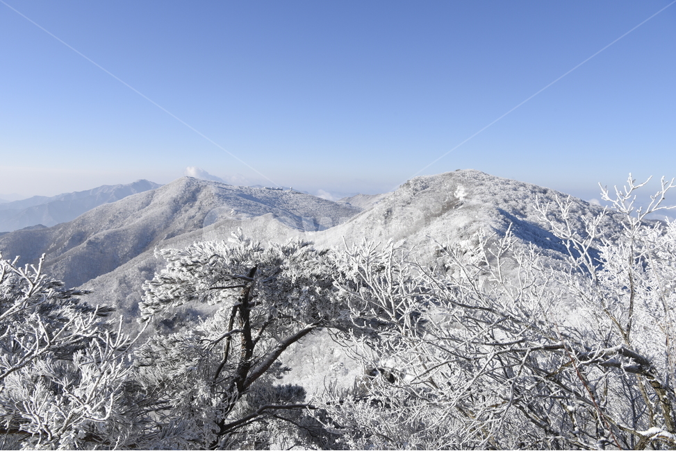 소백산,상고대,설경,눈꽃,겨울,능선,겨울,계절,winter,season,자연,풍경,nature,landscape,한국자연풍경,한국자연경관,korea nature landscape,mountain,산,outdoors,옥외,mountain range,산맥,plant,식물,tree,나무