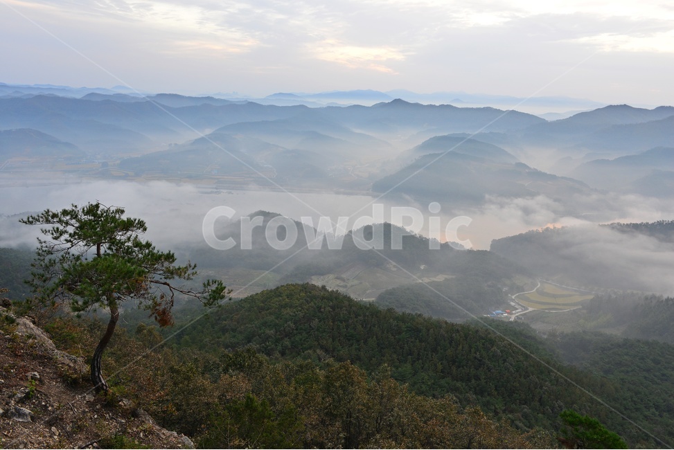 임실,국사봉,국사봉일출,여명,아침,해돋이,운해,소나무,nature,자연,mountain,산,mountainrange,산맥,outdoors,옥외,자연,풍경,nature,landscape