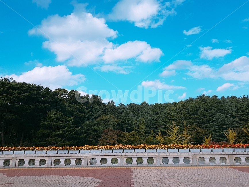 nature,자연,outdoors,옥외,weather,날씨,천안,충남,독립기념관,자연,풍경,nature,landscape