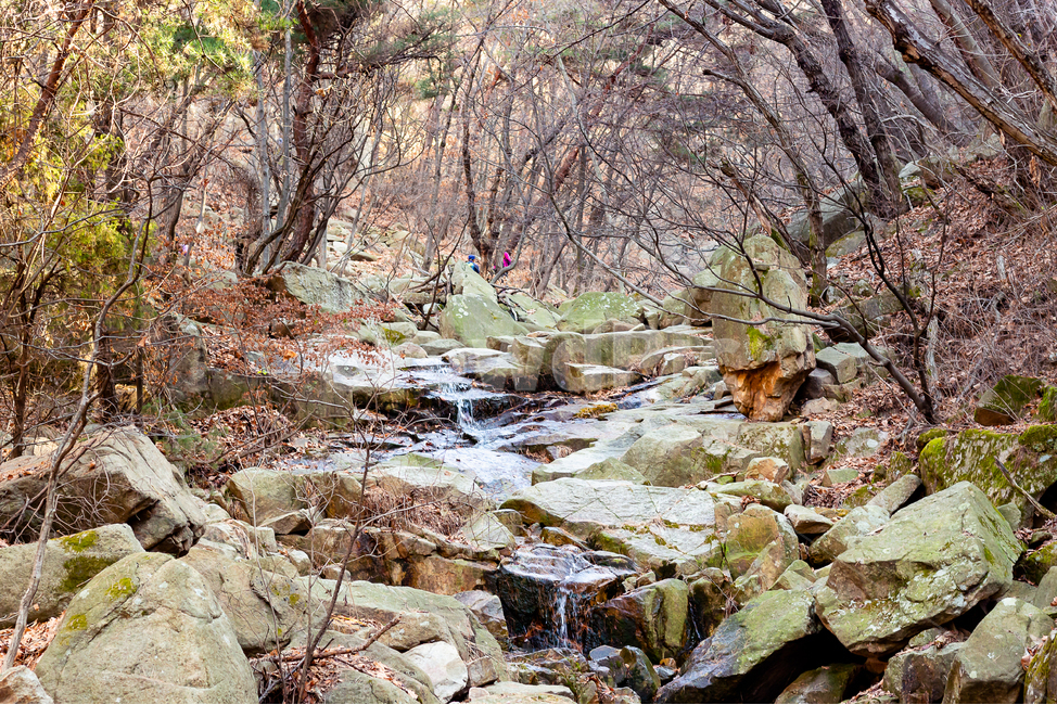 관악산,등산,계곡,숲,나무,바위,가을,계절,fall,autumn,season,자연,풍경,nature,landscape,rubble,파편,water,물