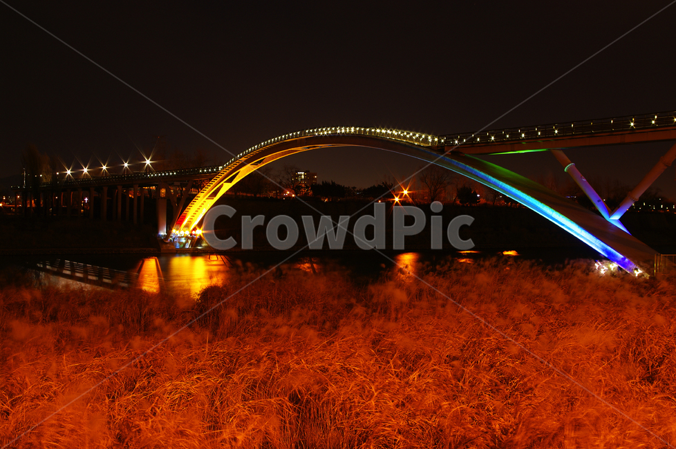 서울,한강,공원,야경,다리,불빛,조명,억새밭,야경,밤,풍경,nightscape,night,landscape,건축물,건물외관,exterior,building,structure,architecture,construction,건물,bridge
