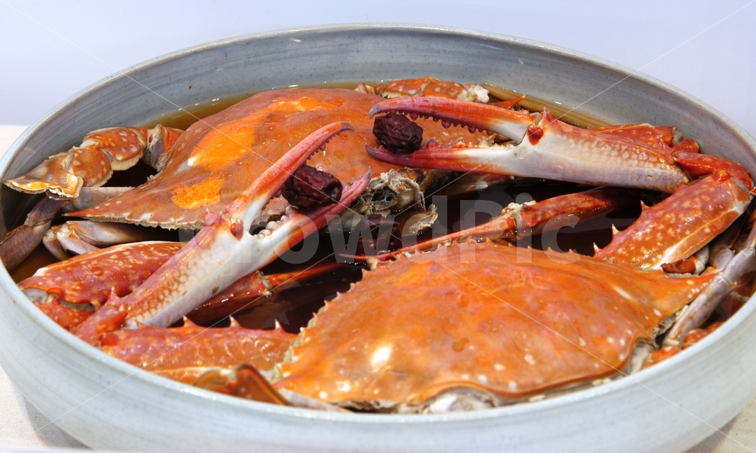 게,꽃게,갑각류,간장,간장게장,게장,음식,한식,요리,해산물,해물,음식,식재료,요리,food,cook,meal,dishes,food reserves,수산물,해산물,fishery products,seafood,한식,한국음식,한국요리,korean food,korean dishes,korean meal,korean cook
