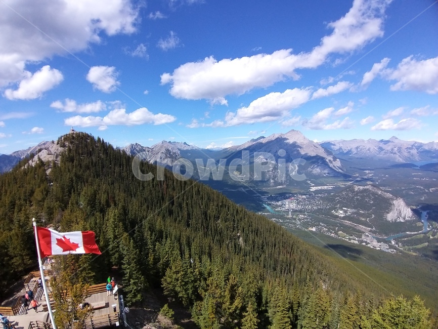 tree,전나무,plant,나무,canadamountains,mountainrange,canadarocky,canada,캐나다,캐나다국기,캐나다로키