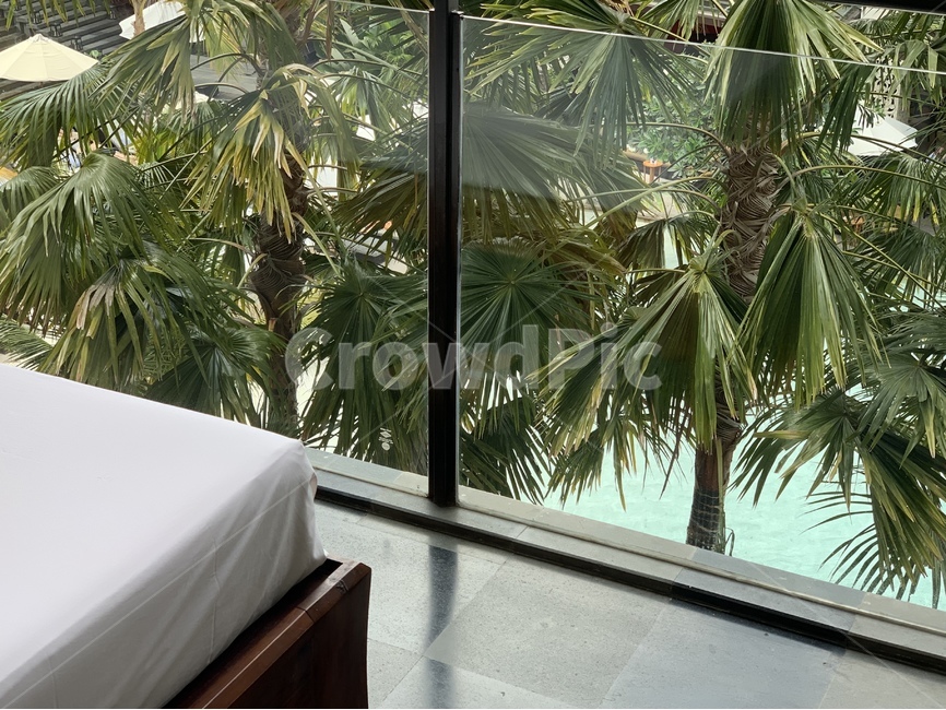 휴양지,호텔,테라스,야자수,동남아,발리,hotel,terrace,palmtree,수영장,pool,water,물,쉼,rest,감성,mood,감성사진,bali,sensible,인테리어,interior,집,house,home,실내,inside