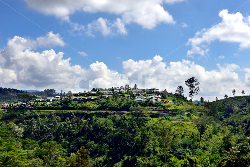 스리랑카,차밭,하톤,실론티,srilanka,teaestate,hatton,ceylontea,nature,자연,구름,outdoors,sky,하늘