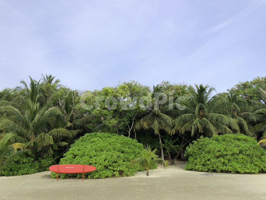 몰디브,maldives,휴양지,섬,island,하늘,서핑,surfing,서퍼보드,board,나무,tree,tropical,트로피칼,sky,구름,cloud,자연,nature,해변,outdoors,옥외,방갈로,bungalow,파라솔,parasol,의자,chair,cloudy,야자수,palm,숲,forest,여름,summer,트로피컬