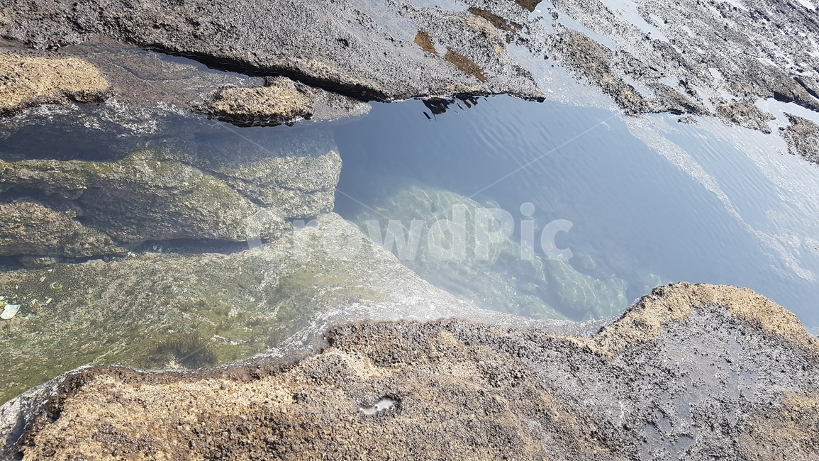 puddle,웅덩이,물,바다,제주도
