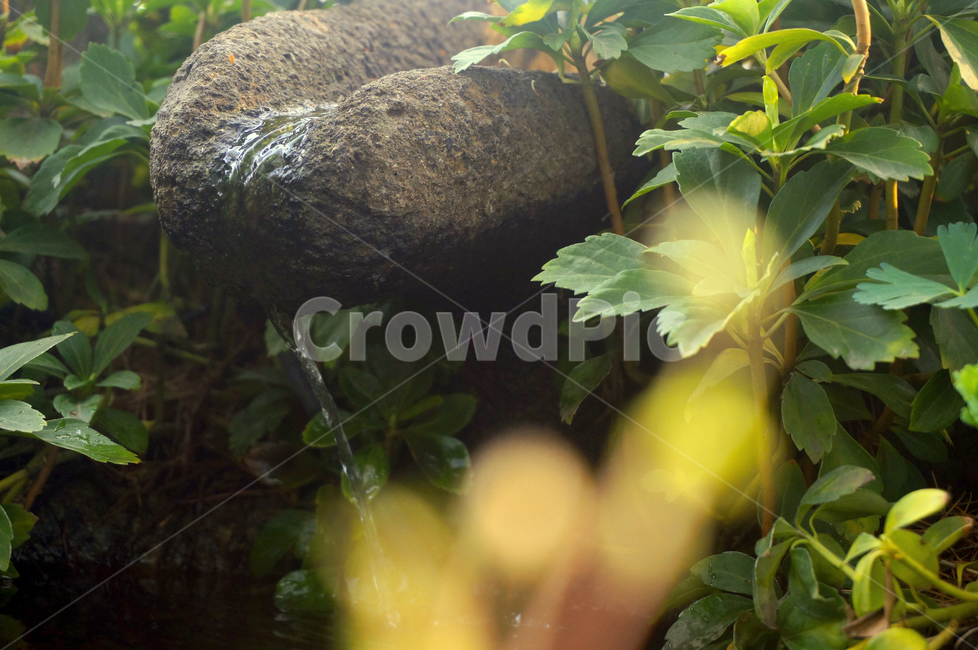 공원,야외,정원,식물,바위,숲,풀,자연,생태계,자연,풍경,nature,landscape,vegetation,초목,plant