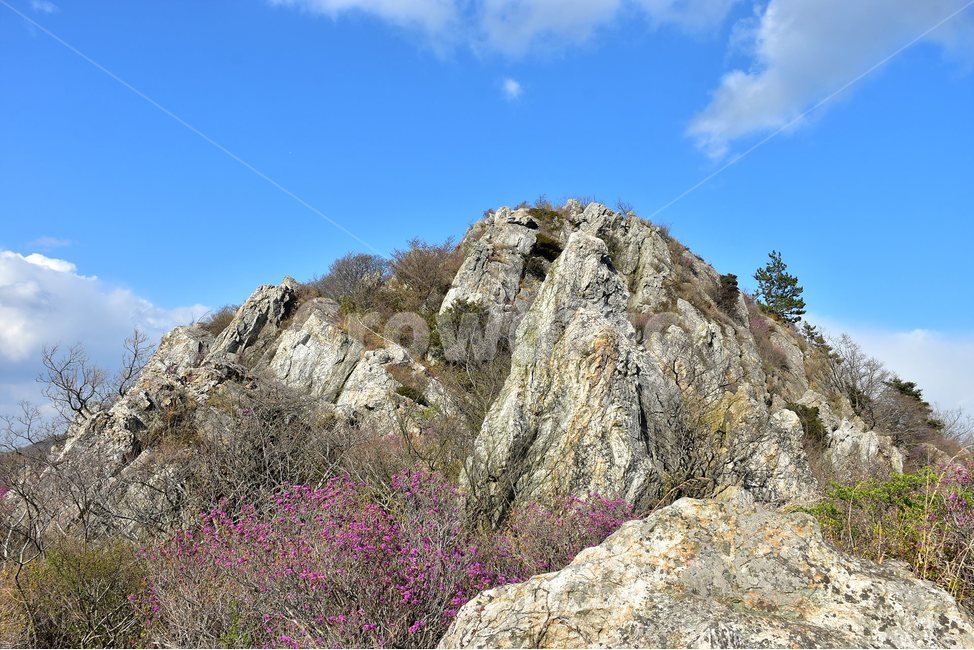 주작산,덕룡산,종주,진달래,풍경,기암,바위,비경,봄풍경,진달래꽃,강진,명산,산행,등산,마운틴,힐링,mountain,landscape,자연,natural,자연,풍경,nature,landscape,한국자연풍경,한국자연경관,korea nature landscape,outdoors,옥외,cliff,낭떠러지