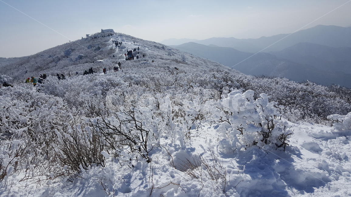 자연,mountain,눈,풍경,태백산,강원도,겨울왕국