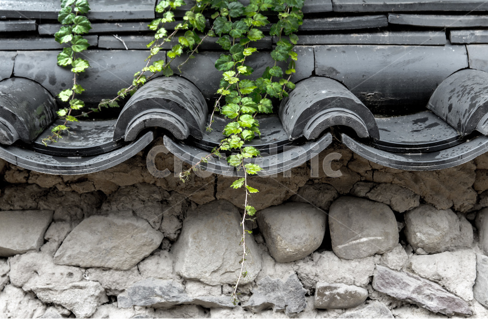 기와,담장,돌담,전통,선,한국전통,한국문화,korean traditional,korean culture,건축물,건물외관,exterior,building,structure,architecture,construction