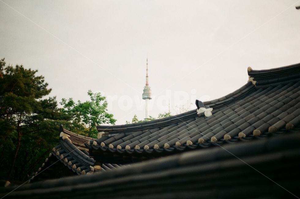 남산타워,랜드마크,서울,한국,한옥,korea,korean,namsantower,tower,house,지붕,roof,기와지붕,기와,tiledroof