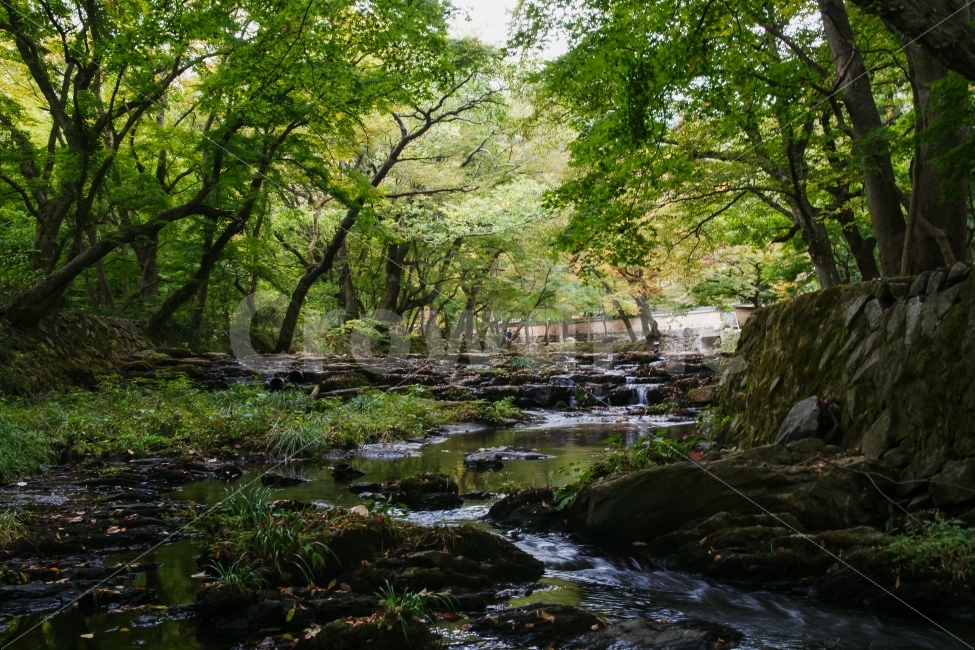 고창,선운사,도솔천,산사,계곡,초가을,여행,자연,풍경,nature,landscape,water,물,outdoors,옥외,land,땅,stream,흐름,creek,작은 만