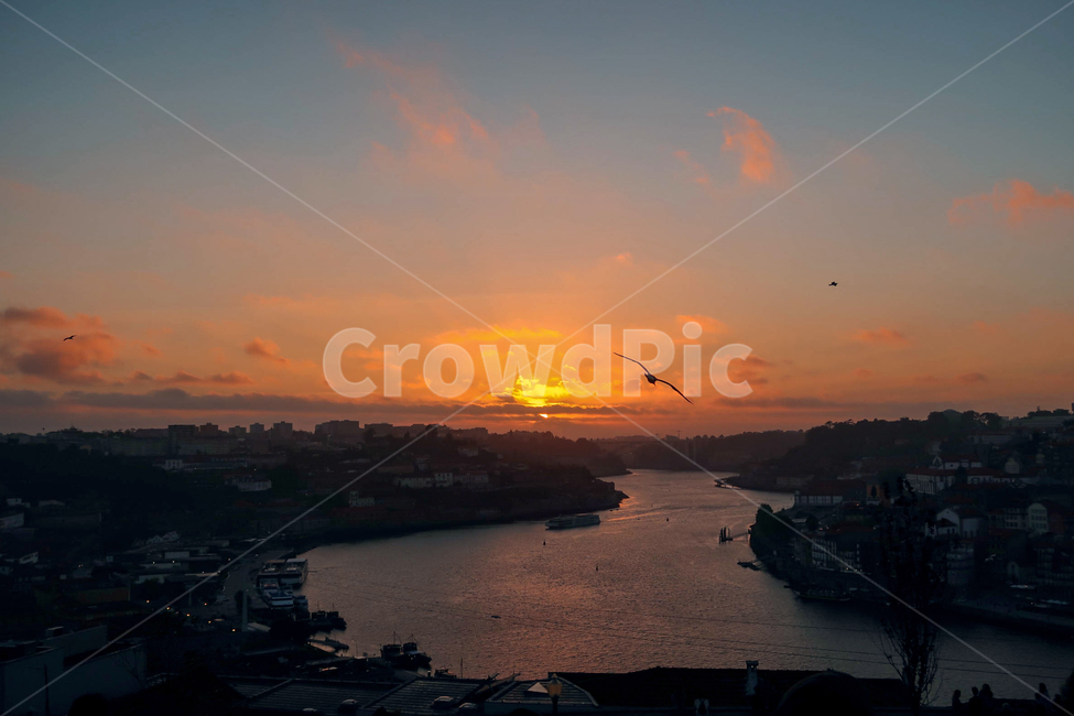 nature,자연,outdoors,옥외,dusk,황혼,sunset,일몰,dawn,새벽,redsky,붉은하늘,sky,하늘,bird,새,europe,porto,portugal,유럽,포르투,포르투갈,노을,풍경