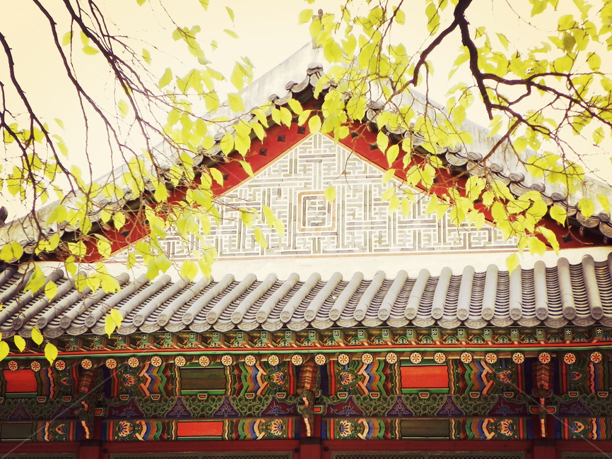 덕수궁,궁,고궁,기와,나뭇잎,전통건축물