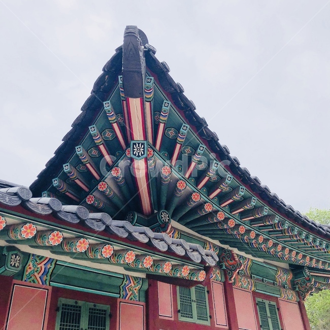 궁궐,건축물,지붕,전통,문화재