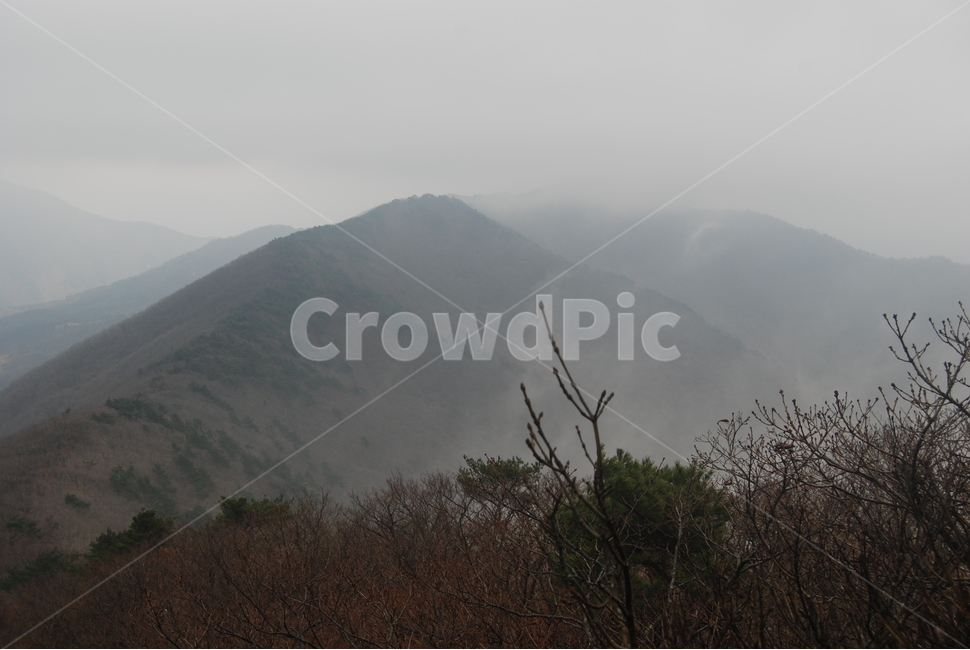 안개,fog,등산로,hikingtrail,봄,자연,풍경,nature,landscape,outdoors,옥외