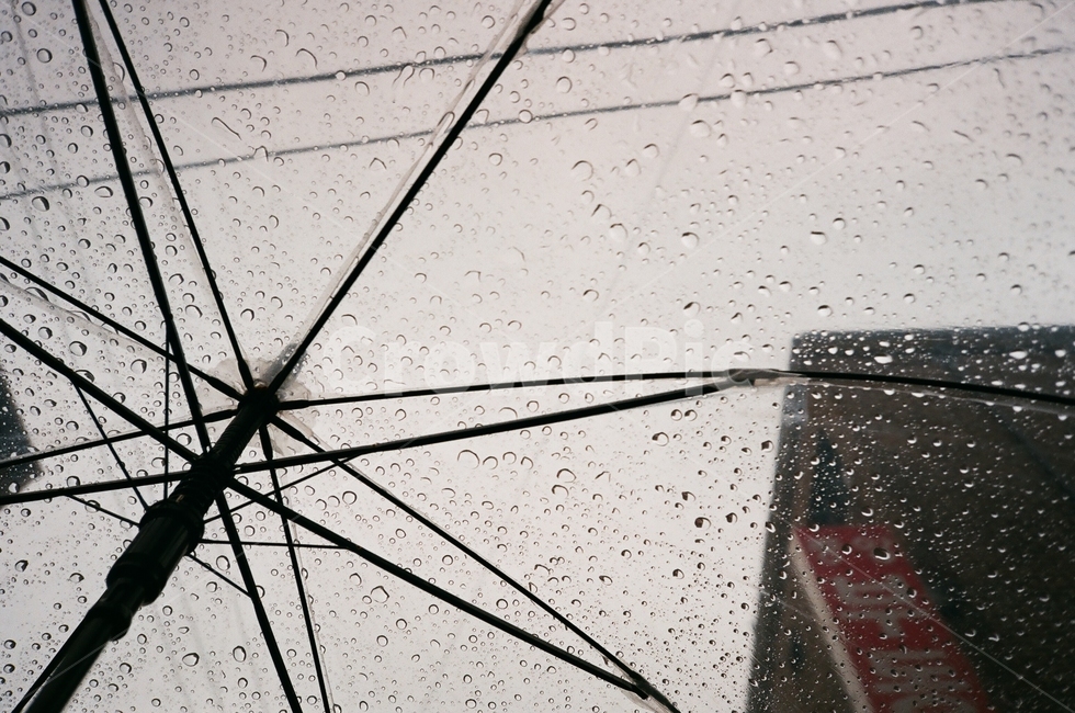 비,비오는날,우산,날씨,장마,필름,필름카메라,필카,필름감성,비,비오는날,rain,rainy