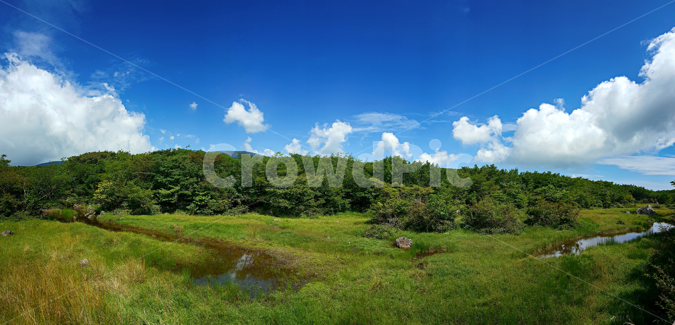 제주,한라산,1100고지,한라산1100고지,산,제주도,자연,nature,outdoors,옥외,자연,풍경,nature,landscape