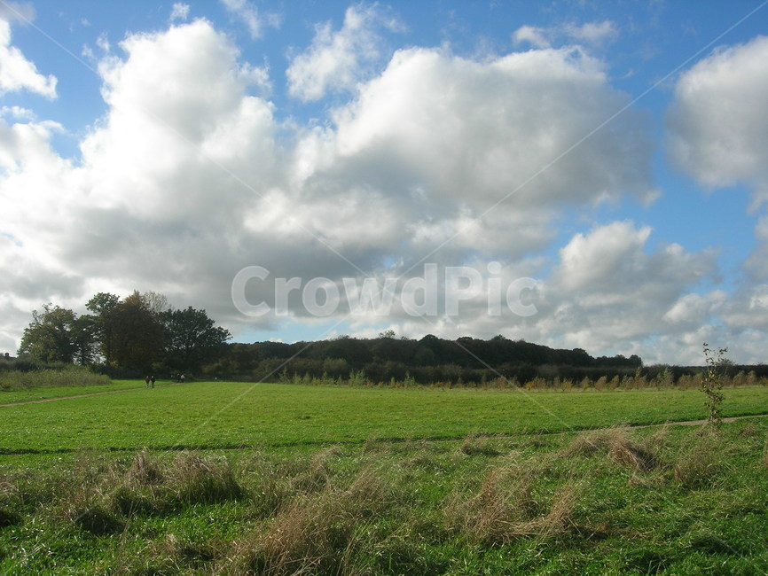 field,들,outdoors,옥외,nature,자연,landscape,풍경,평화,peace,목가적