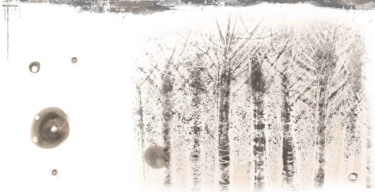 겨울,나무,배경,겨울나무,감성,소박한,따뜻한,질감,텍스쳐,texture,tree,winter,백그라운드,디자인소스,background,쓸쓸한