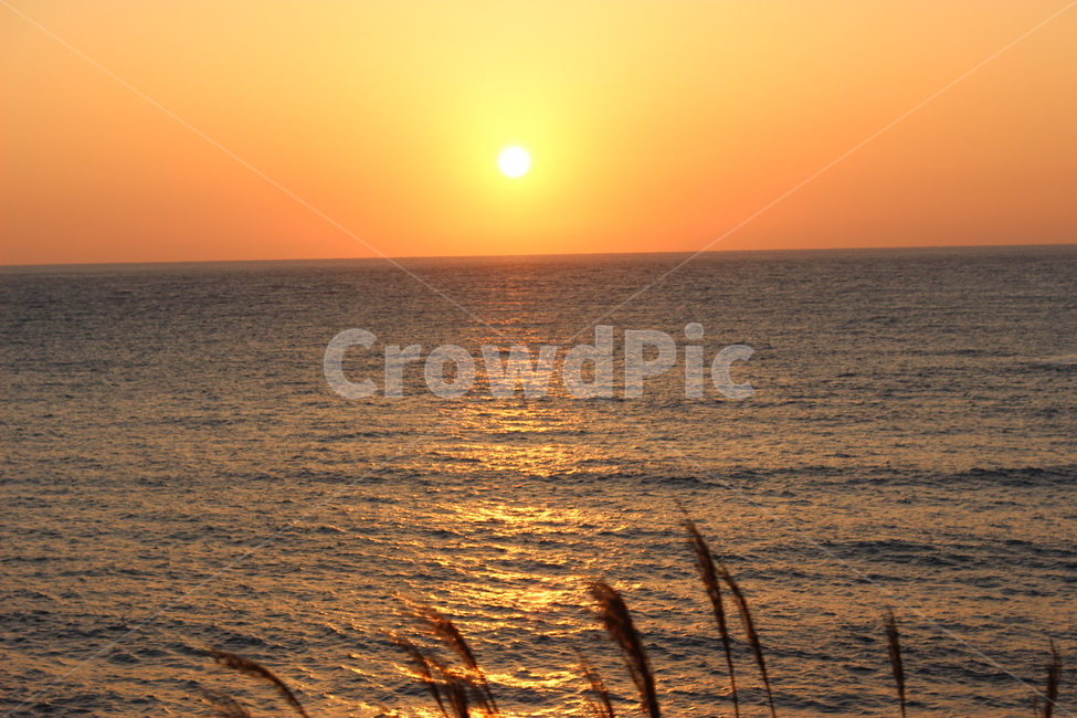 일몰,제주도,해질녘,바다,제주도일몰,노을,태양,자연,풍경,nature,landscape,grass,잔디,plant,식물