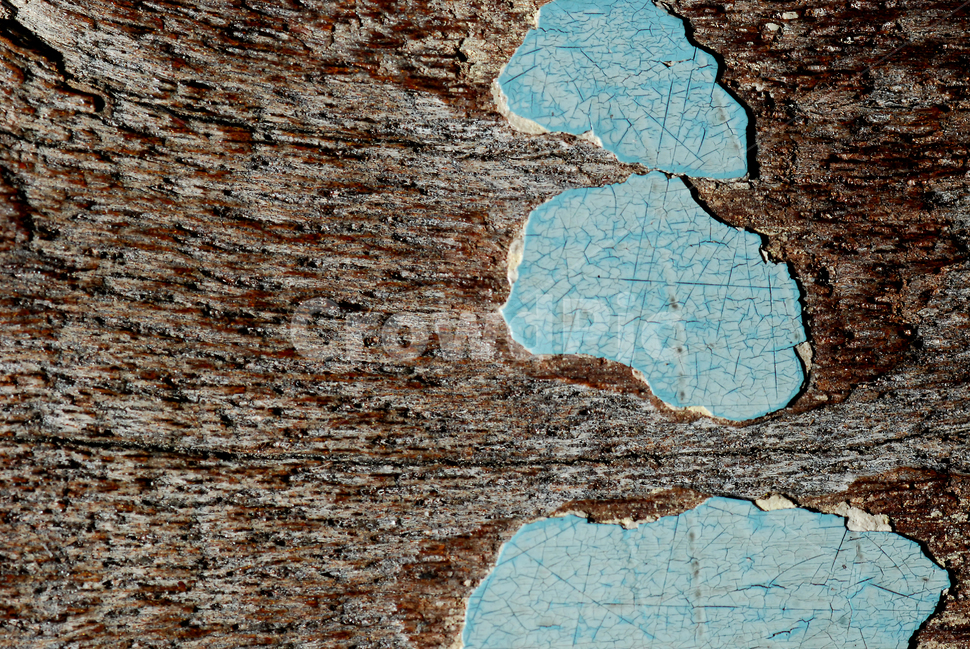 텍스쳐,질감,물건,텍스타일,스킨,텍스처,질감,패턴,texture,pattern