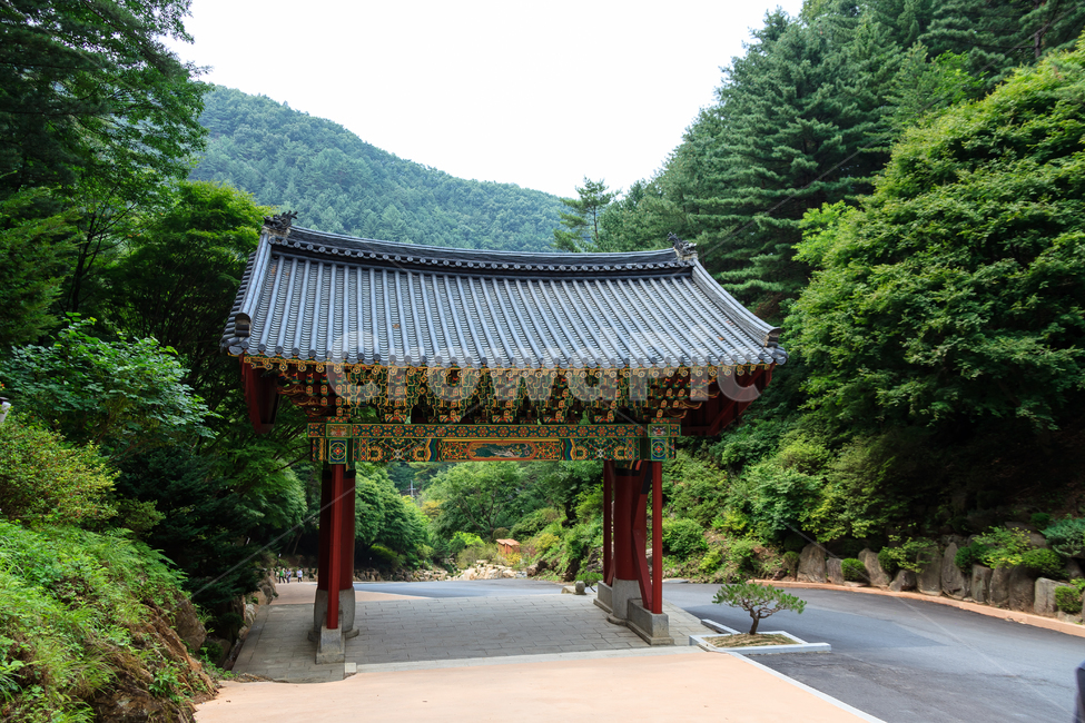 구룡사,치악산,원주,절,불교,종교,탑,건물,문화,종교적인,자연,풍경,nature,landscape,한국자연풍경,한국자연경관,korea nature landscape,한국전통,한국문화,korean traditional,korean culture
