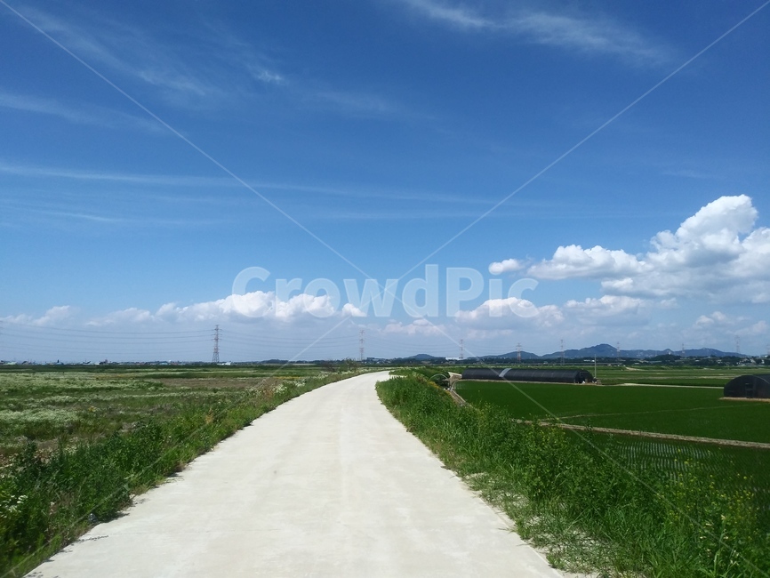 road,도로,자연,nature,풍경,자연,풍경,nature,landscape