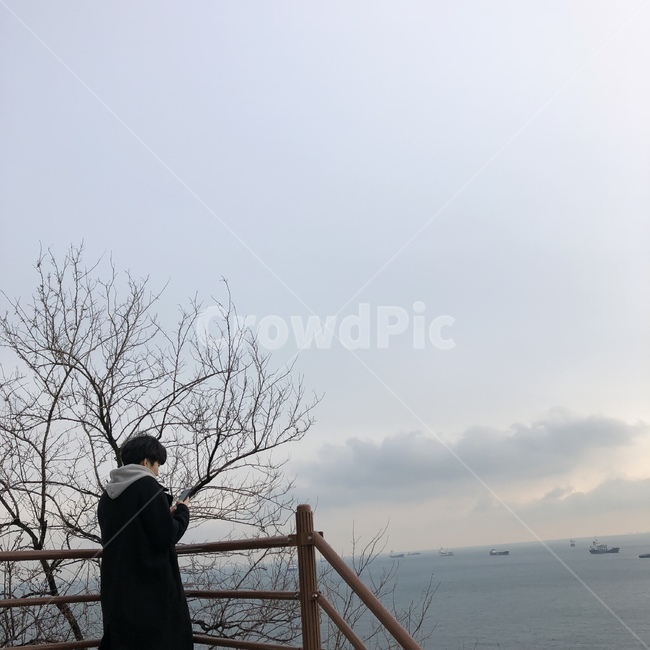겨울바다,뒷모습,노을진하늘,구름,흐린날씨