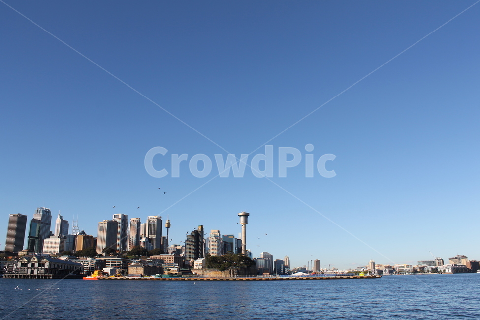 시드니,sydney,cityview,시티,city,건물,building,architecture,도시,어반,urban,metropolis,중심지,하늘,푸른하늘,파란하늘,sky,bluesky,blue,도시,풍경,city,landscape,해외,외국,세계,foreign,oversea,world,세계도시풍경,해외도시풍경,외국도시풍경,world cityscape