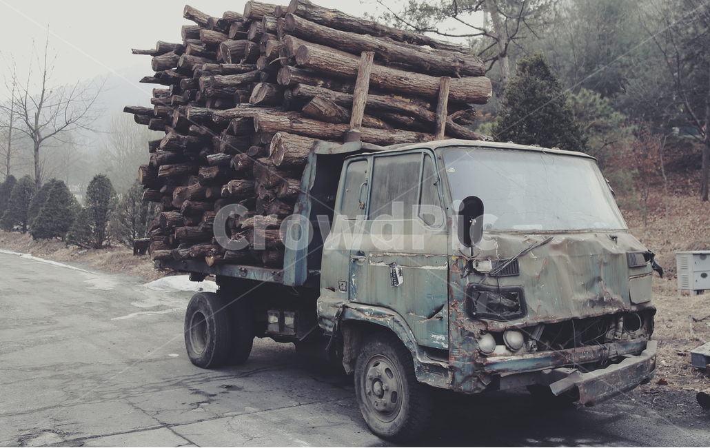 자동차,오래된,나무,부서진,vehicle,차량,transportation,교통,truck,트럭