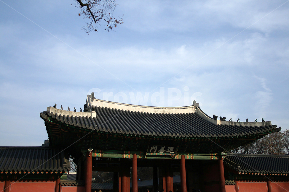 창덕궁,진선문,궁궐,한국의궁,세계문화유산,문화유산,한국전통,한국문화,korean traditional,korean culture,랜드마크,landmark,tourist attraction,한국랜드마크,한국관광지,한국명소,korea landmark,korea tourist attraction