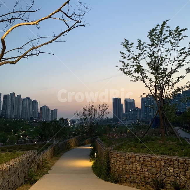 공원,나무,하늘,선선,시원,가로등,길