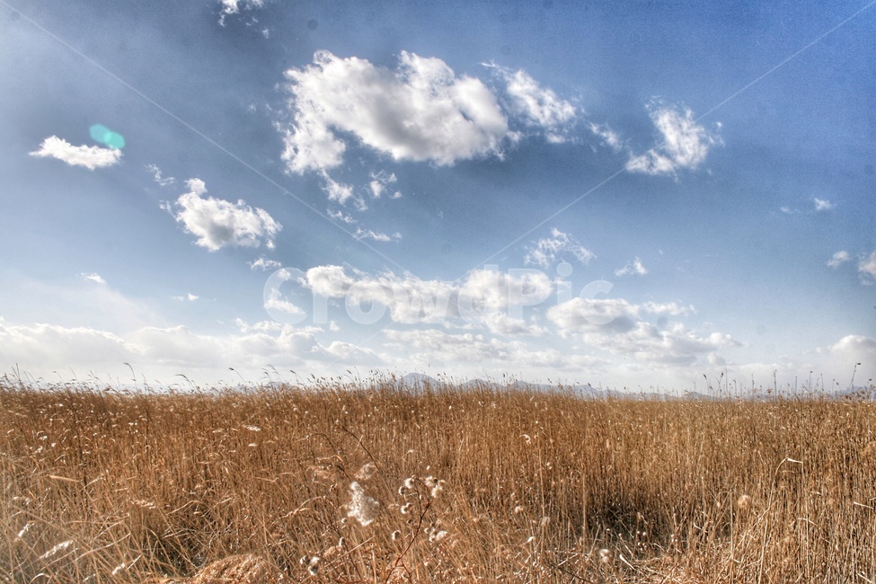 풍경,자연,배경,배경화면,하늘,푸른하늘,구름,여유,감성사진,감성,grass,잔디,plant,식물