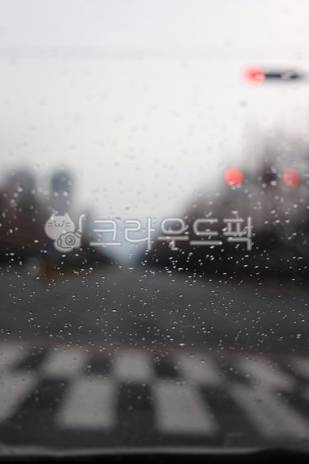 바탕,배경,횡단보도,신호등,비,날씨