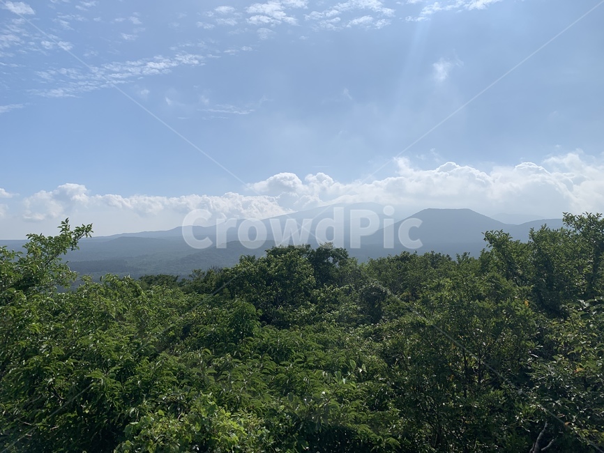산,하늘,자연,제주,사려니숲길,날씨