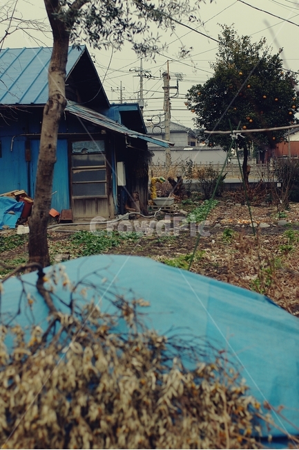 창고,농사,warehouse,시골,country,farming,일본,일본시골,japan,시골,마을,풍경,landscape,country,rural,town