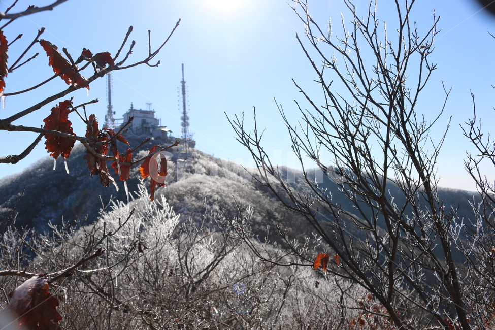 겨울산,상고대,나무얼음,어름나무,등산,어름산
