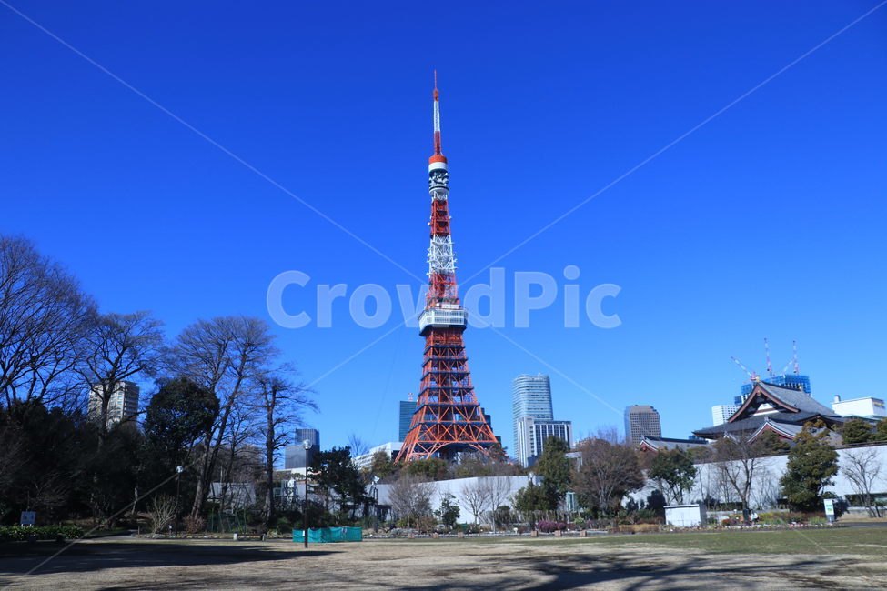일본,도쿄타워,도쿄,tokyo,tokyotower