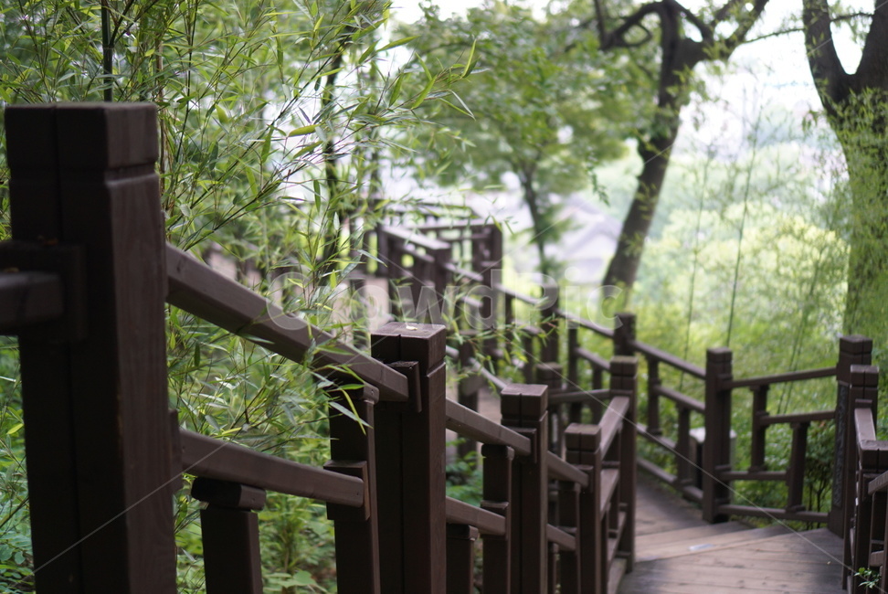 전주,오목대,풍경,계단,나무