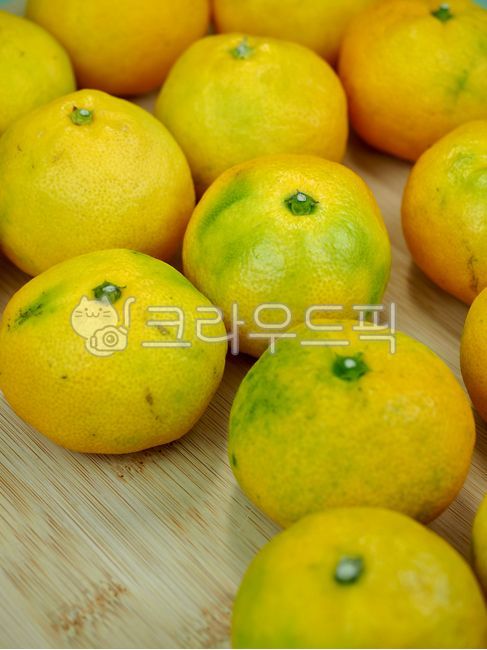 mandarin,citrus fruits,tangerine,jejutangerine,Jeju Island Specialties,fruit,yellow,jeju island,jejuisland,food,tangerines,citrusfruit,jejuislandspecialties,background,plant,Jeju tangerines