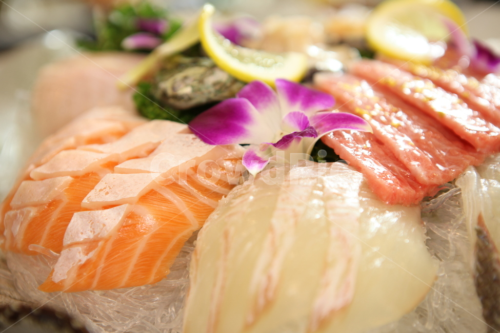 참치,회요리,클로즈업,광어회,food,음식,식사,요리,일본요리,한국요리,음식,식재료,요리,food,cook,meal,dishes,food reserves,수산물,해산물,fishery products,seafood,일식,일본음식,일본요리,Japanese food,Japanese dishes,Japanese meal,Japanese cook