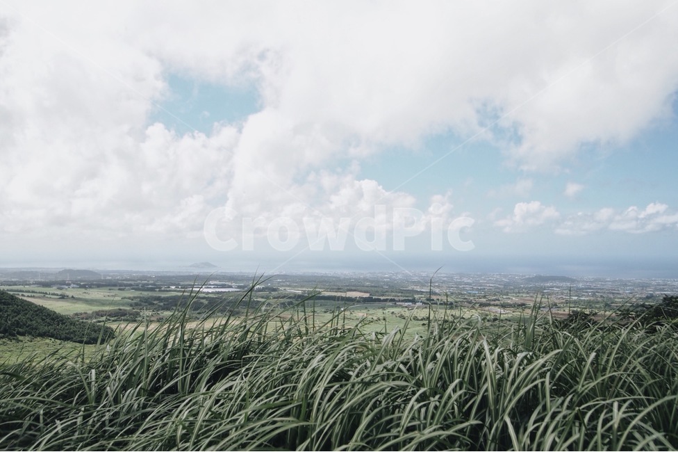 자연,풍경,하늘,구름,풀,제주도,오름,감성,맑음,자연,풍경,nature,landscape