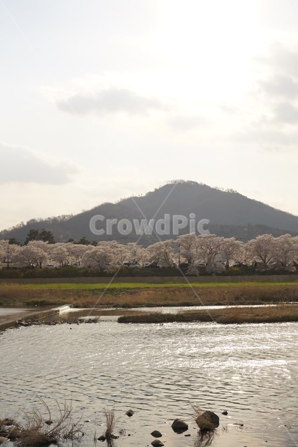 mountain,나무,산,바다,하늘,tree,자연,풍경,nature,landscape,outdoors,옥외