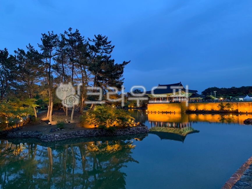 경주,동궁과월지,한옥,연못,문화재,nature,자연,water,pond