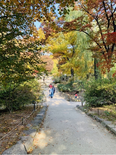 person,사람,human,인간,흙길,road,궁,창경궁